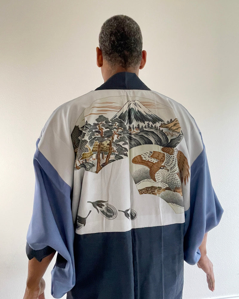 Mount Fuji, Eagle, Pine Tree, and Egg Plant Oshima Tsumugi Haori Kimono Jacket