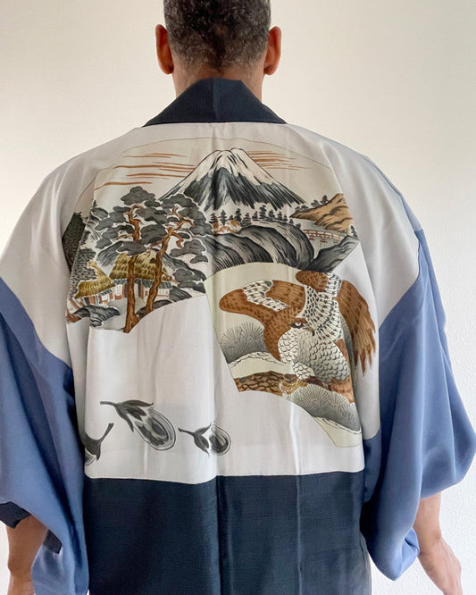 Mount Fuji, Eagle, Pine Tree, and Egg Plant Oshima Tsumugi Haori Kimono Jacket